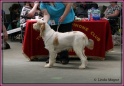 10-06-12 M GoodAsGold_IMG_7330